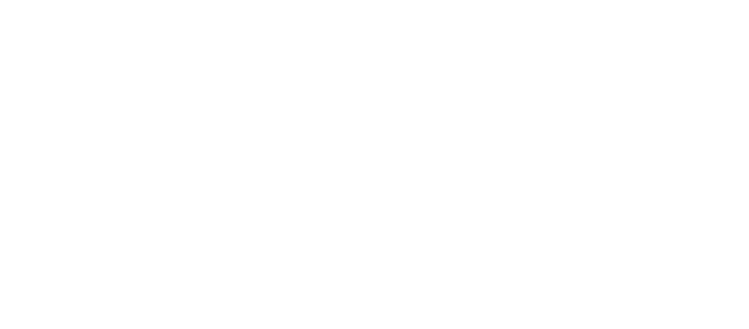 Swiss Accordion Orchestra
